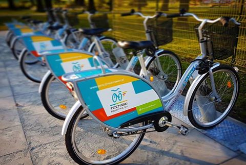 Ponad 300 wypożyczeń rowerów miejskich w Pszczynie
